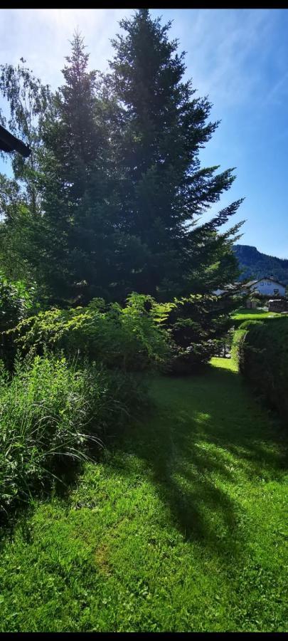 Appartement Haus Annaburg à Mariazell Extérieur photo